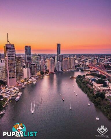 71/26 Felix Street Brisbane City QLD 4000