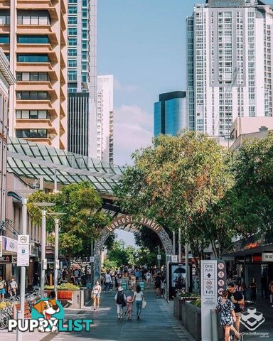 71/26 Felix Street Brisbane City QLD 4000