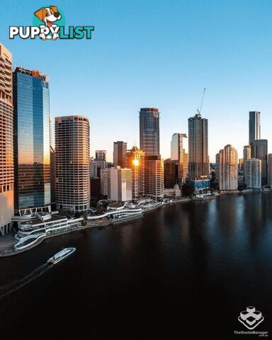 71/26 Felix Street Brisbane City QLD 4000