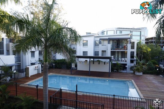 ID:21154940 7 Landsborough Terrace Toowong QLD 4066