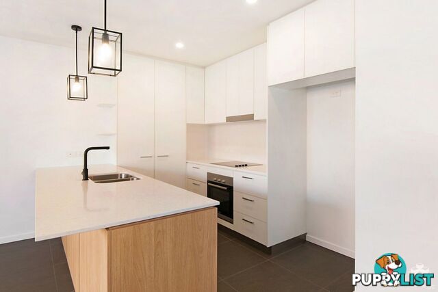 ID:21157763 25 Onslow Street Ascot QLD 4007
