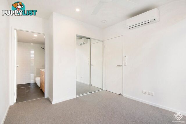 ID:21157763 25 Onslow Street Ascot QLD 4007
