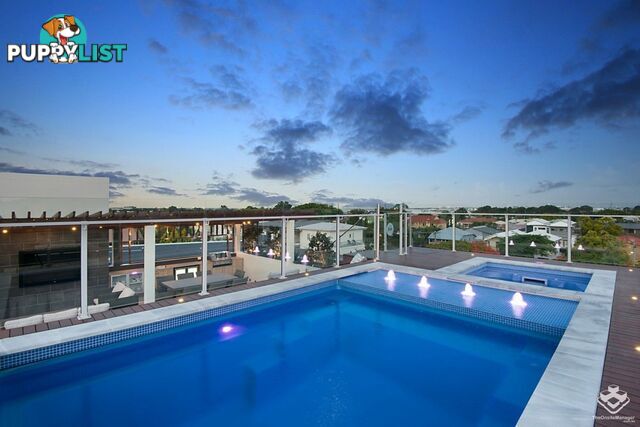 ID:21157763 25 Onslow Street Ascot QLD 4007