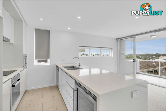 ID:21151553 35 Chasely Street Auchenflower QLD 4066