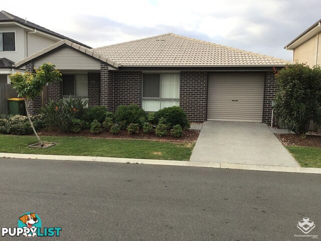 ID:21147261 6 Clearwater Street Bethania QLD 4205