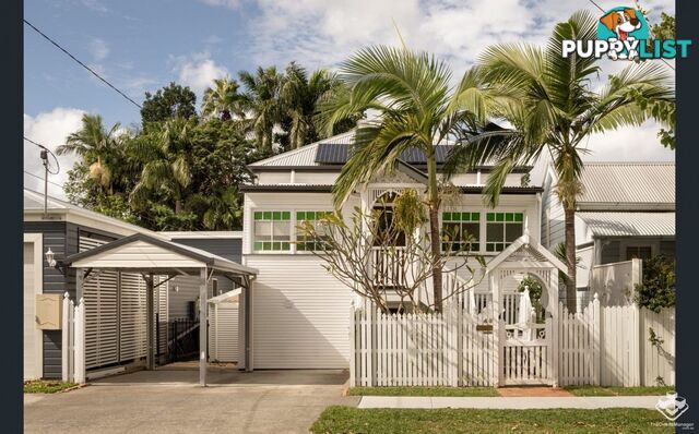 49 Geelong Street East Brisbane QLD 4169
