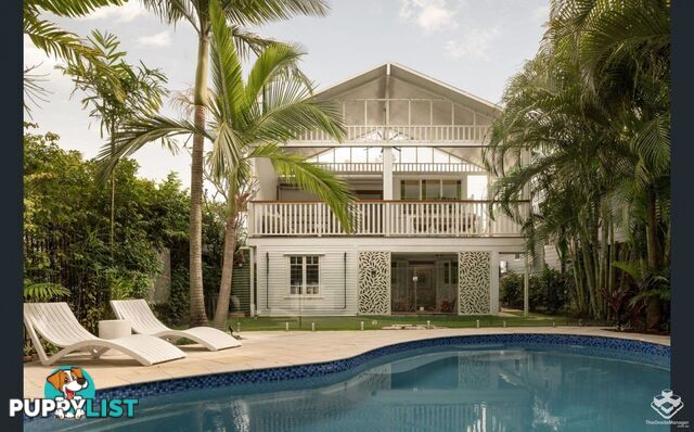 49 Geelong Street East Brisbane QLD 4169