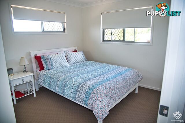 ID:21152412 17 Armstrong Street Petrie QLD 4502