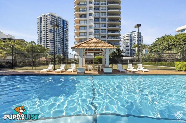 ID:21136013/1 Goodwin Street Kangaroo Point QLD 4169