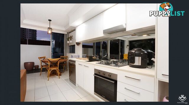 ID:21155755 20 Labrador Street Labrador QLD 4215