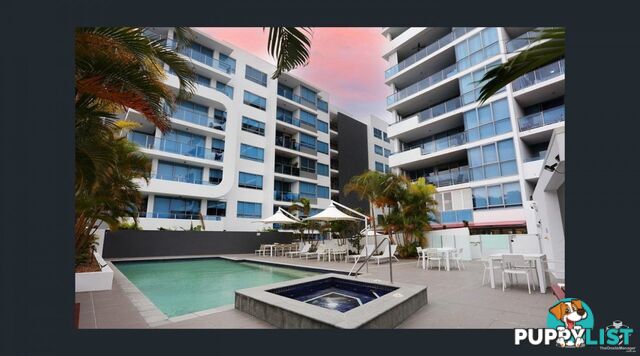 ID:21155755 20 Labrador Street Labrador QLD 4215