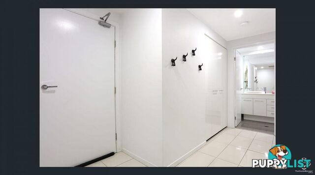 ID:21155755 20 Labrador Street Labrador QLD 4215