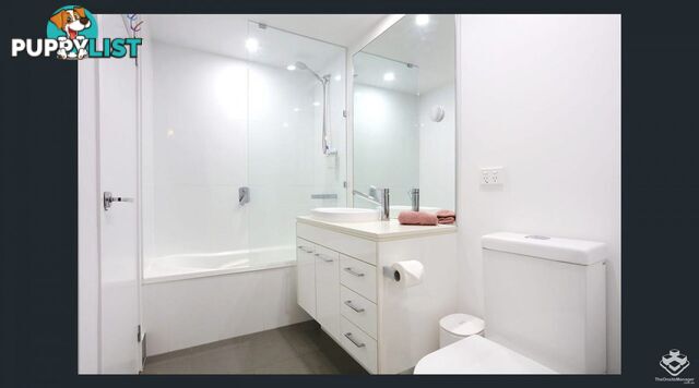ID:21155755 20 Labrador Street Labrador QLD 4215