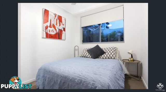 ID:21155755 20 Labrador Street Labrador QLD 4215