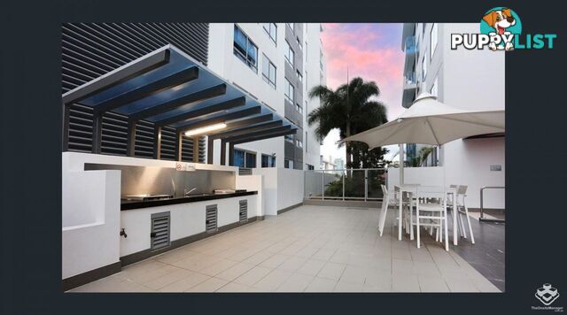 ID:21155755 20 Labrador Street Labrador QLD 4215