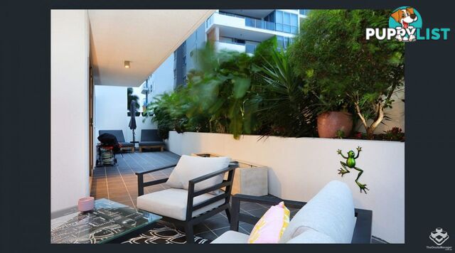 ID:21155755 20 Labrador Street Labrador QLD 4215