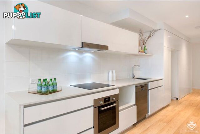 ID:21156242 21 Nile street Woolloongabba QLD 4102