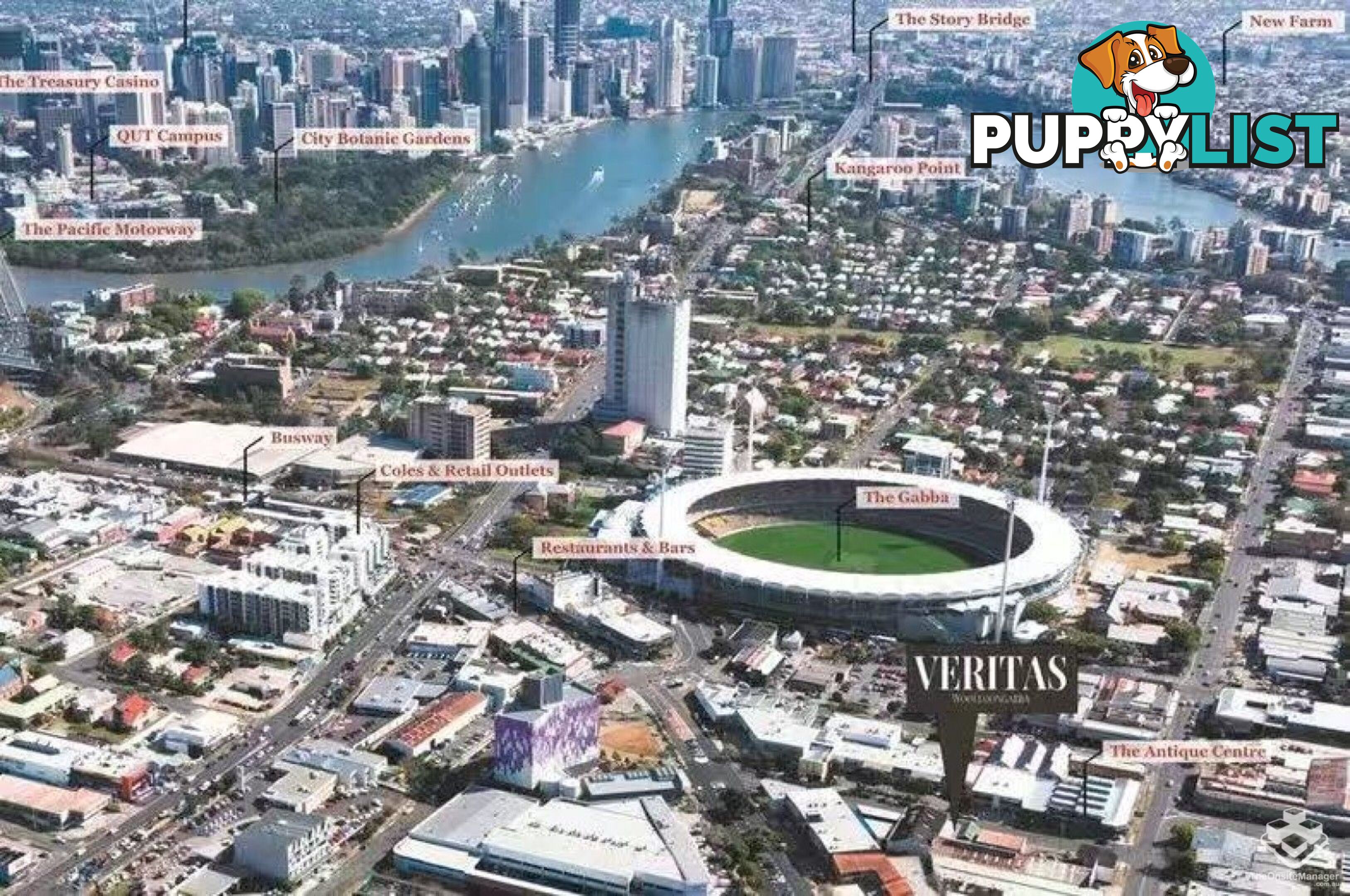 ID:21156242 21 Nile street Woolloongabba QLD 4102