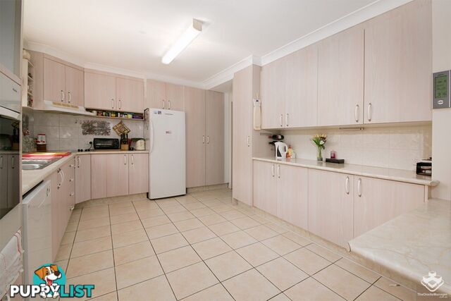 18 Dome Street Eight Mile Plains QLD 4113