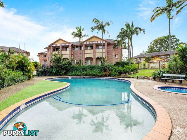 ID:21157021 100 Racecourse Drive Bundall QLD 4217