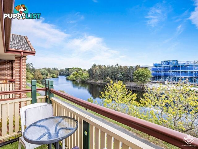 ID:21157021 100 Racecourse Drive Bundall QLD 4217