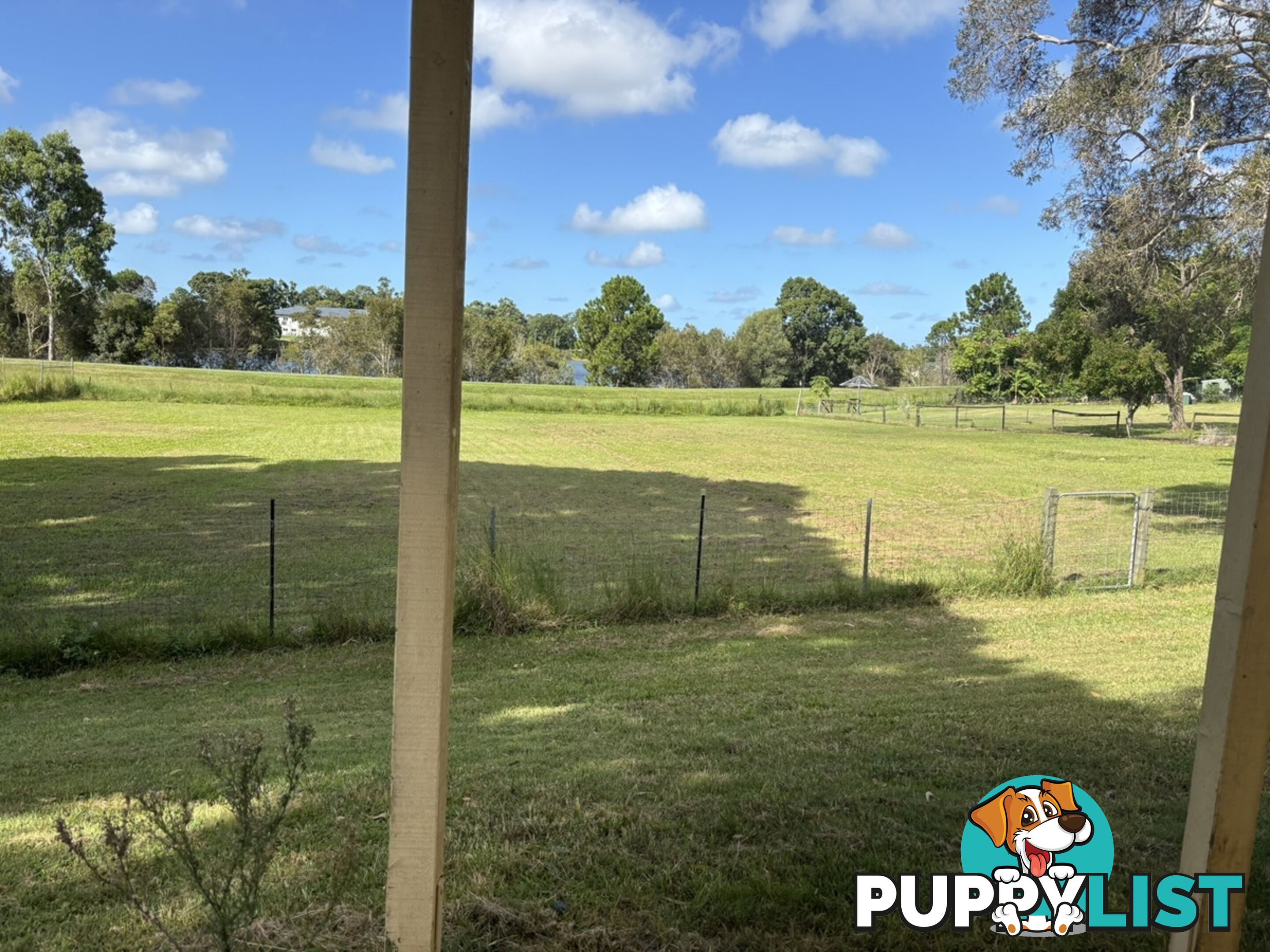 14 Riversdale Road Oxenford QLD 4210