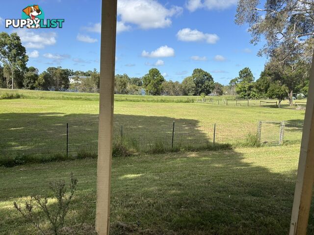 14 Riversdale Road Oxenford QLD 4210