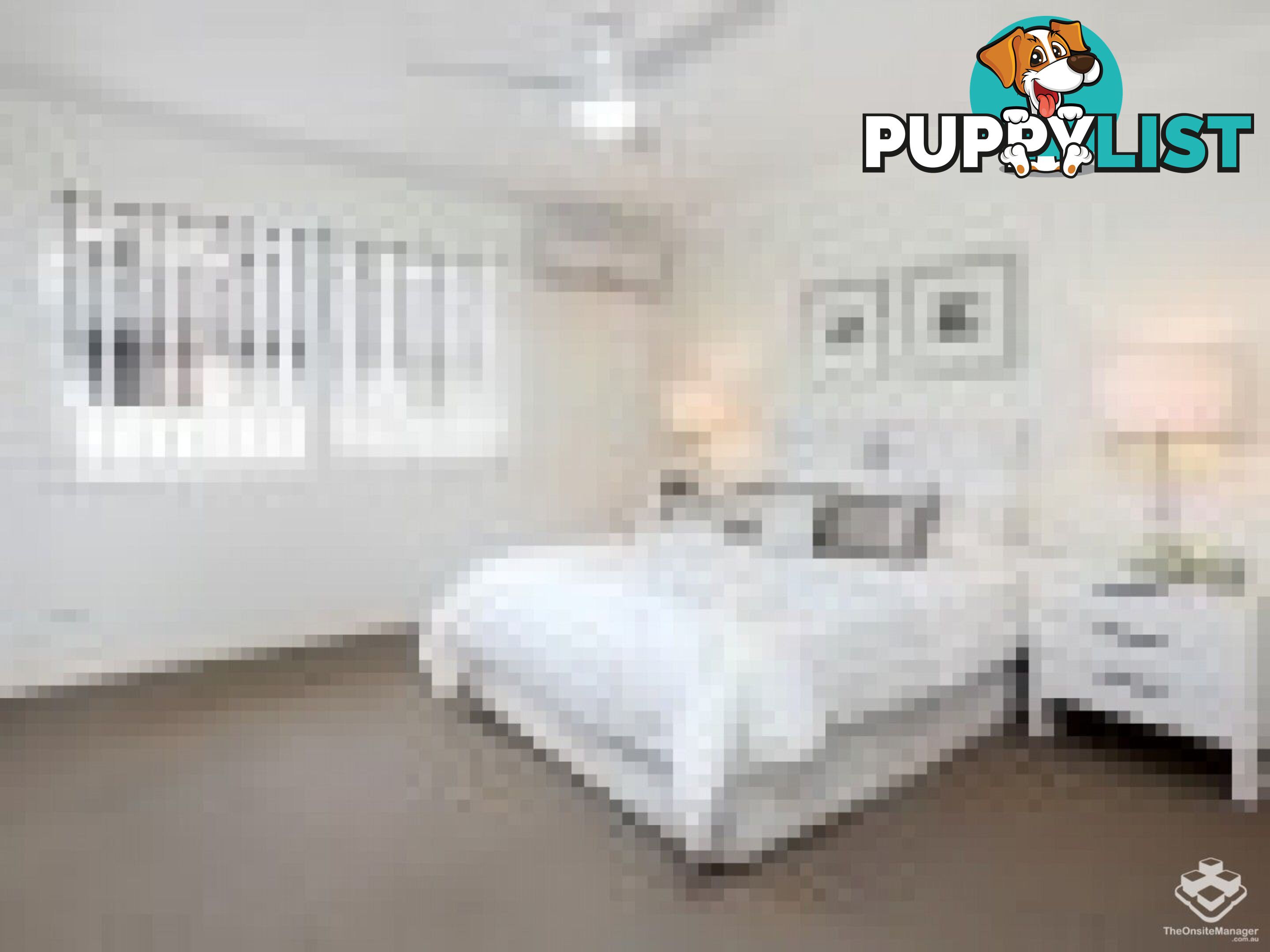 ID:21154087 1-13 Chase Close Underwood QLD 4119