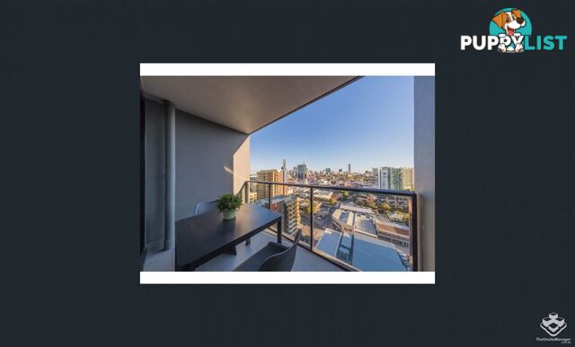 ID:21154844 11 Carriage Street Bowen Hills QLD 4006