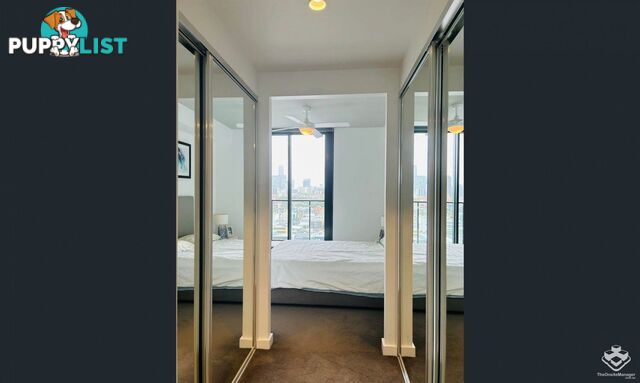 ID:21154844 11 Carriage Street Bowen Hills QLD 4006