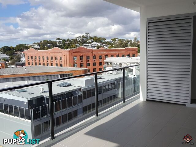 ID:3885417 8 Masters Street Newstead QLD 4006