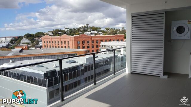 ID:3885417 8 Masters Street Newstead QLD 4006