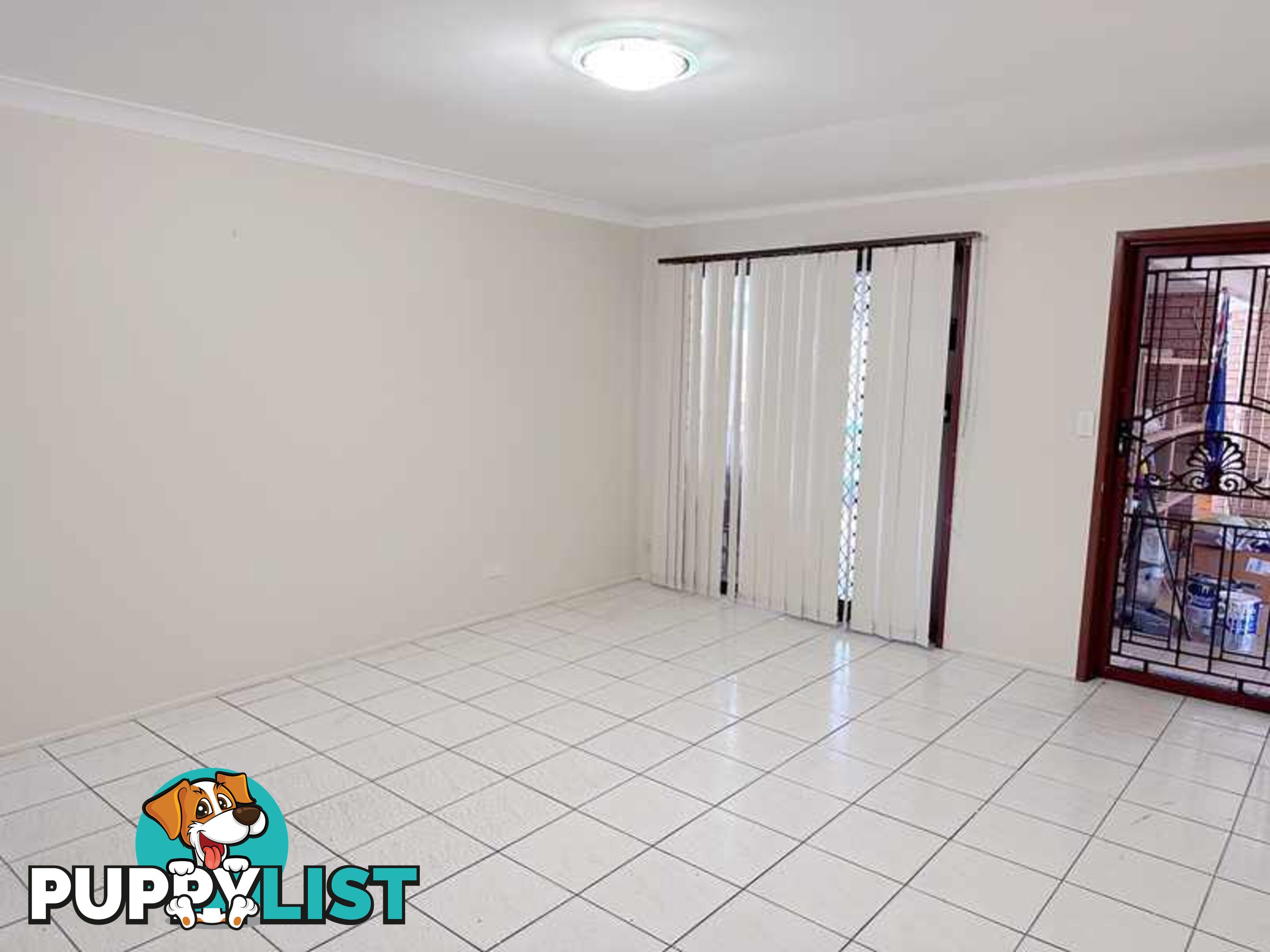 8 Damask Street Sunnybank Hills QLD 4109