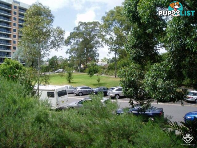 198/19-25 Leonard Street Waitara NSW 2077