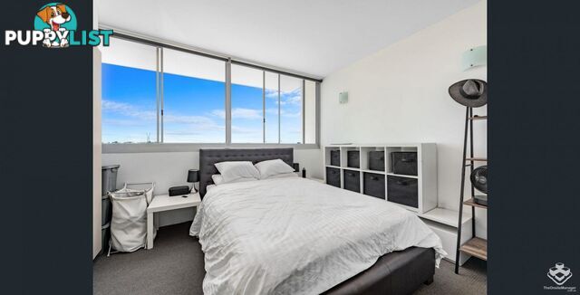 8 Skyring Terrace Teneriffe QLD 4005