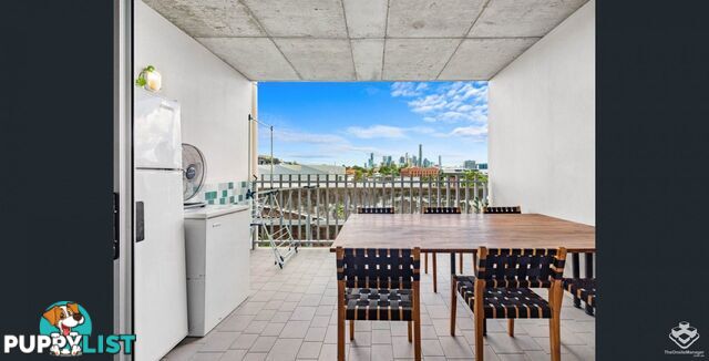 8 Skyring Terrace Teneriffe QLD 4005