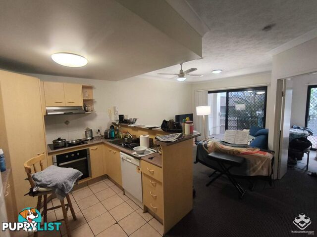 ID:21156424 7 Barranbali Street Surfers Paradise QLD 4217