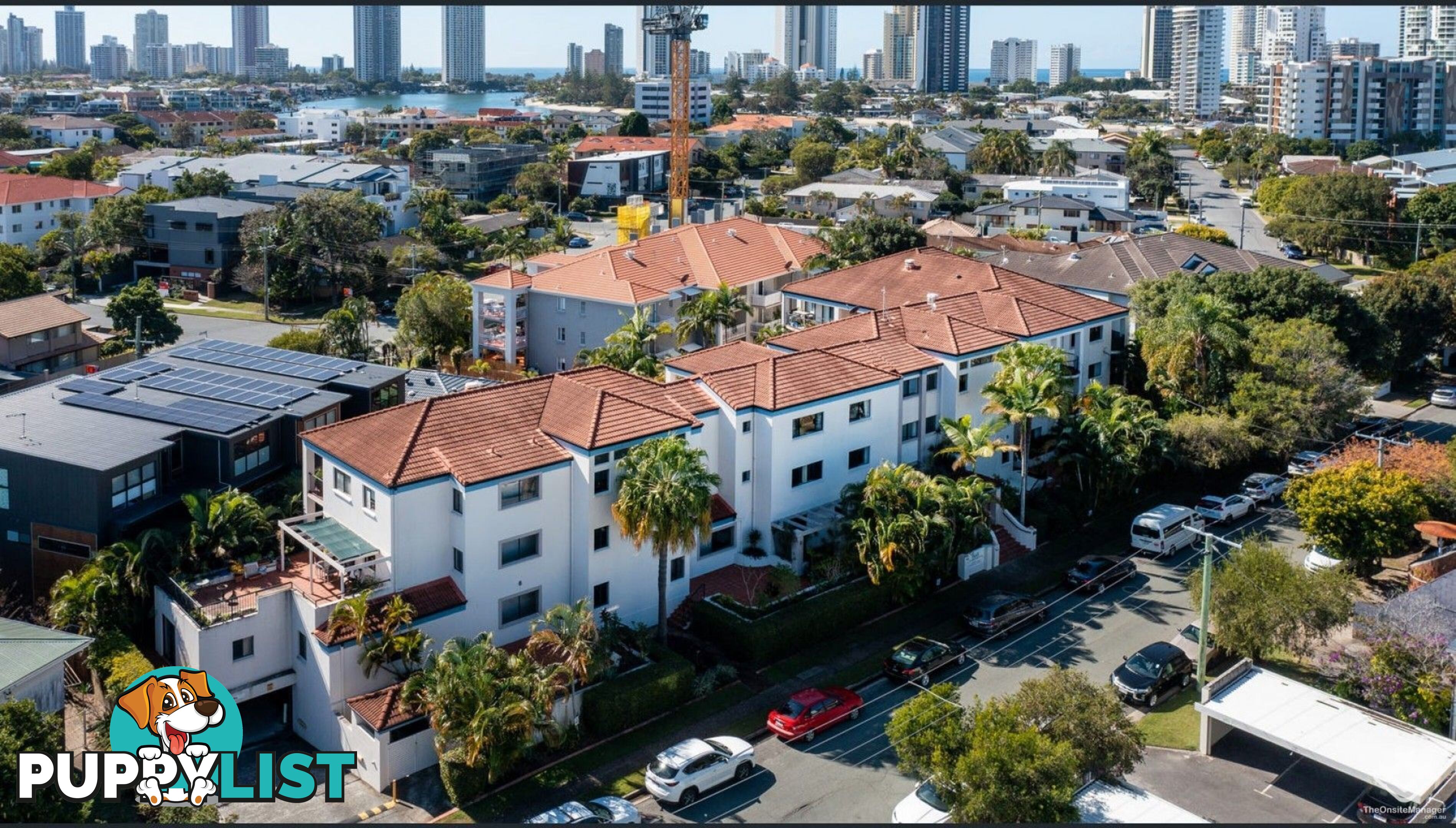 ID:21156424 7 Barranbali Street Surfers Paradise QLD 4217
