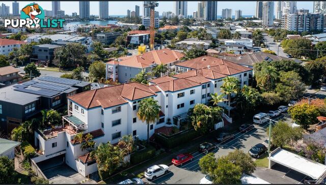 ID:21156424 7 Barranbali Street Surfers Paradise QLD 4217
