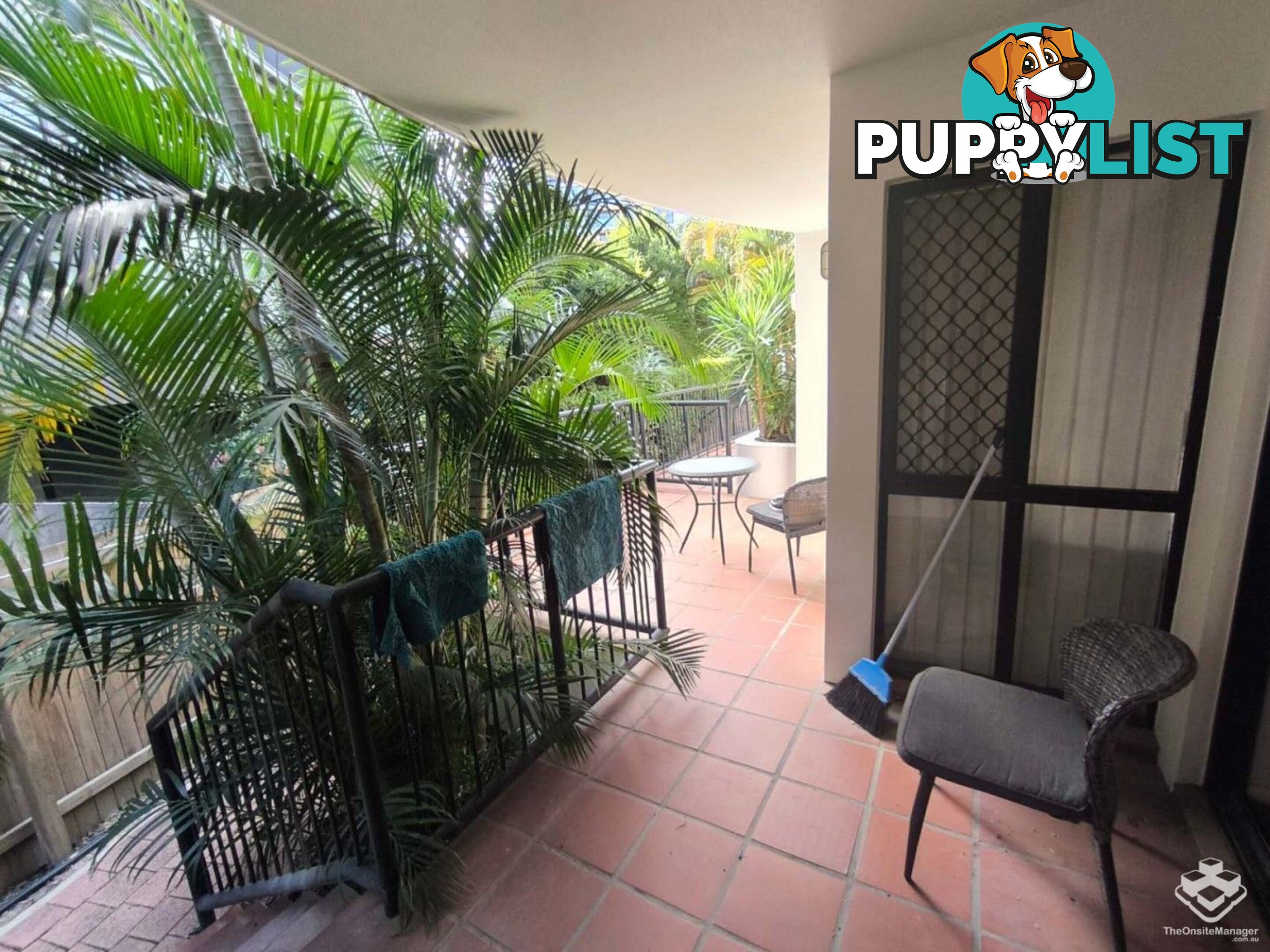 ID:21156424 7 Barranbali Street Surfers Paradise QLD 4217