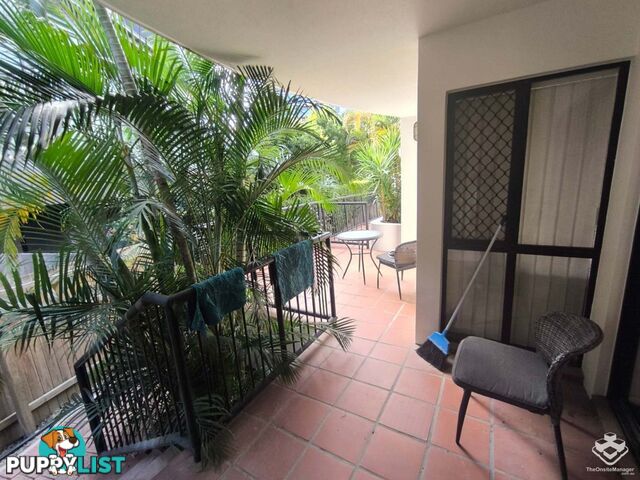 ID:21156424 7 Barranbali Street Surfers Paradise QLD 4217