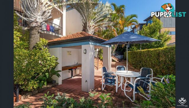 ID:21156424 7 Barranbali Street Surfers Paradise QLD 4217