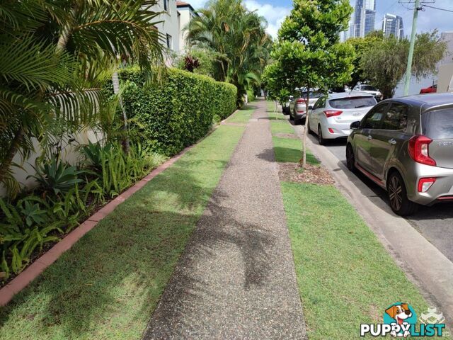 ID:21156424 7 Barranbali Street Surfers Paradise QLD 4217