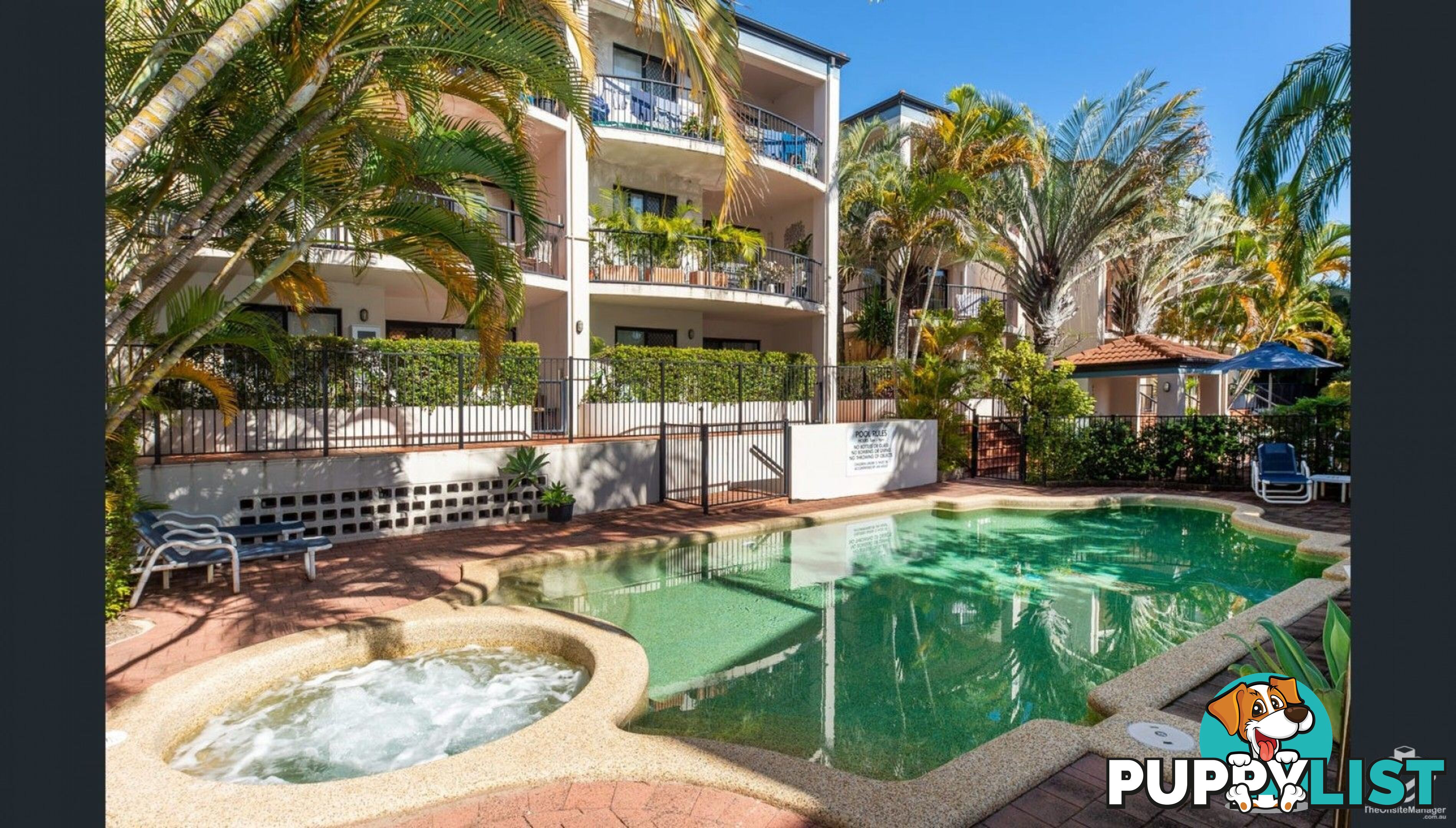 ID:21156424 7 Barranbali Street Surfers Paradise QLD 4217