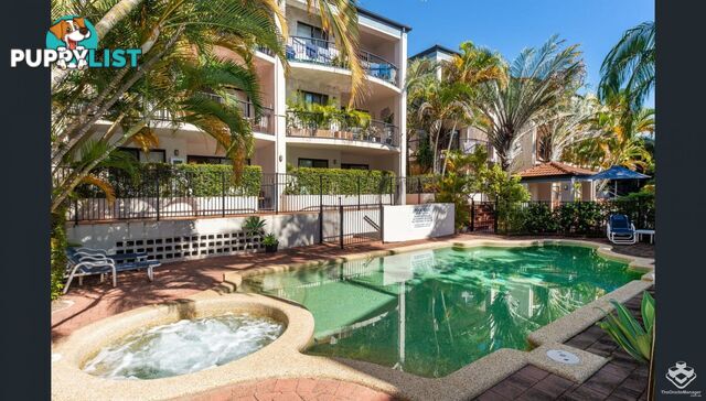 ID:21156424 7 Barranbali Street Surfers Paradise QLD 4217