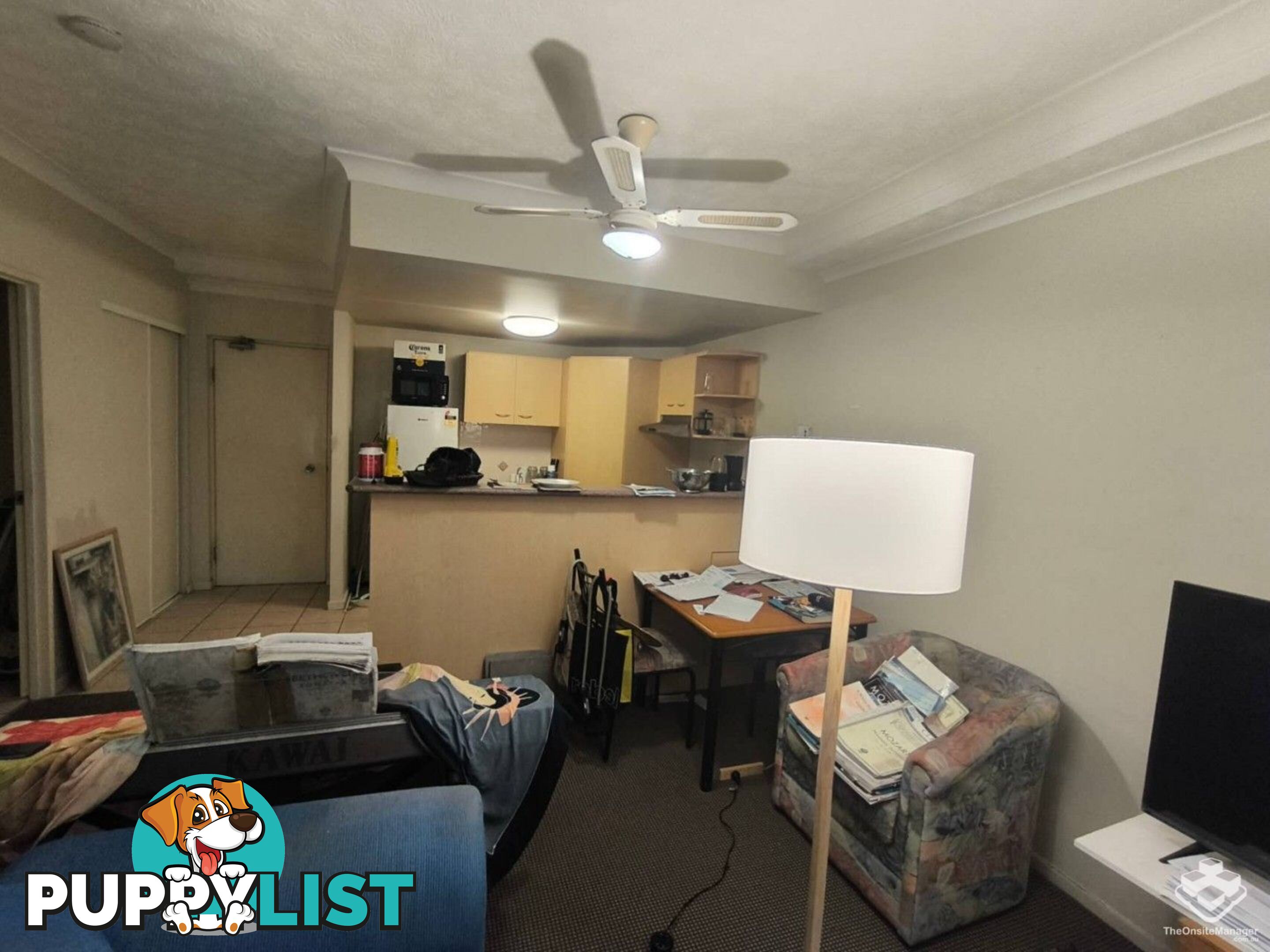 ID:21156424 7 Barranbali Street Surfers Paradise QLD 4217