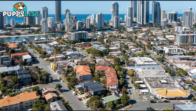 ID:21156424 7 Barranbali Street Surfers Paradise QLD 4217