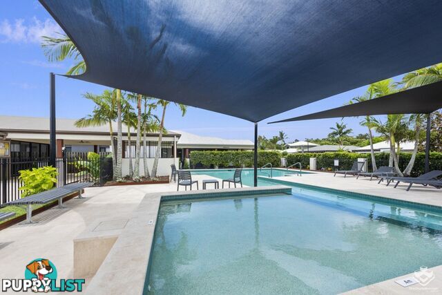 ID:21152880 80 McIntyre Street Hendra QLD 4011