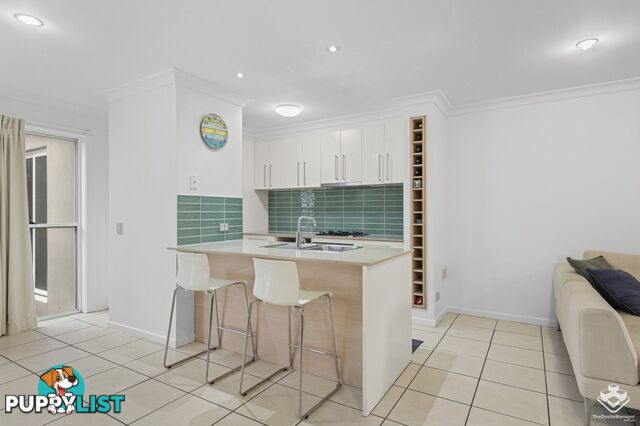 ID:21152880 80 McIntyre Street Hendra QLD 4011