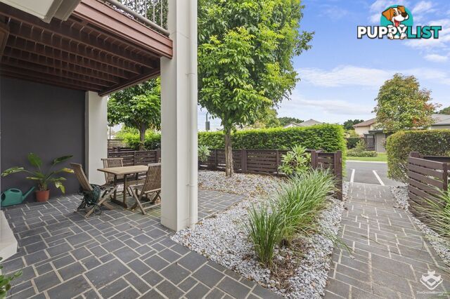 ID:21152880 80 McIntyre Street Hendra QLD 4011